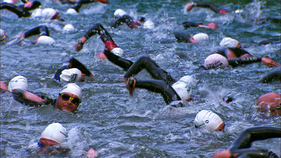 Wörthersee - Bühne für Tier und Mensch