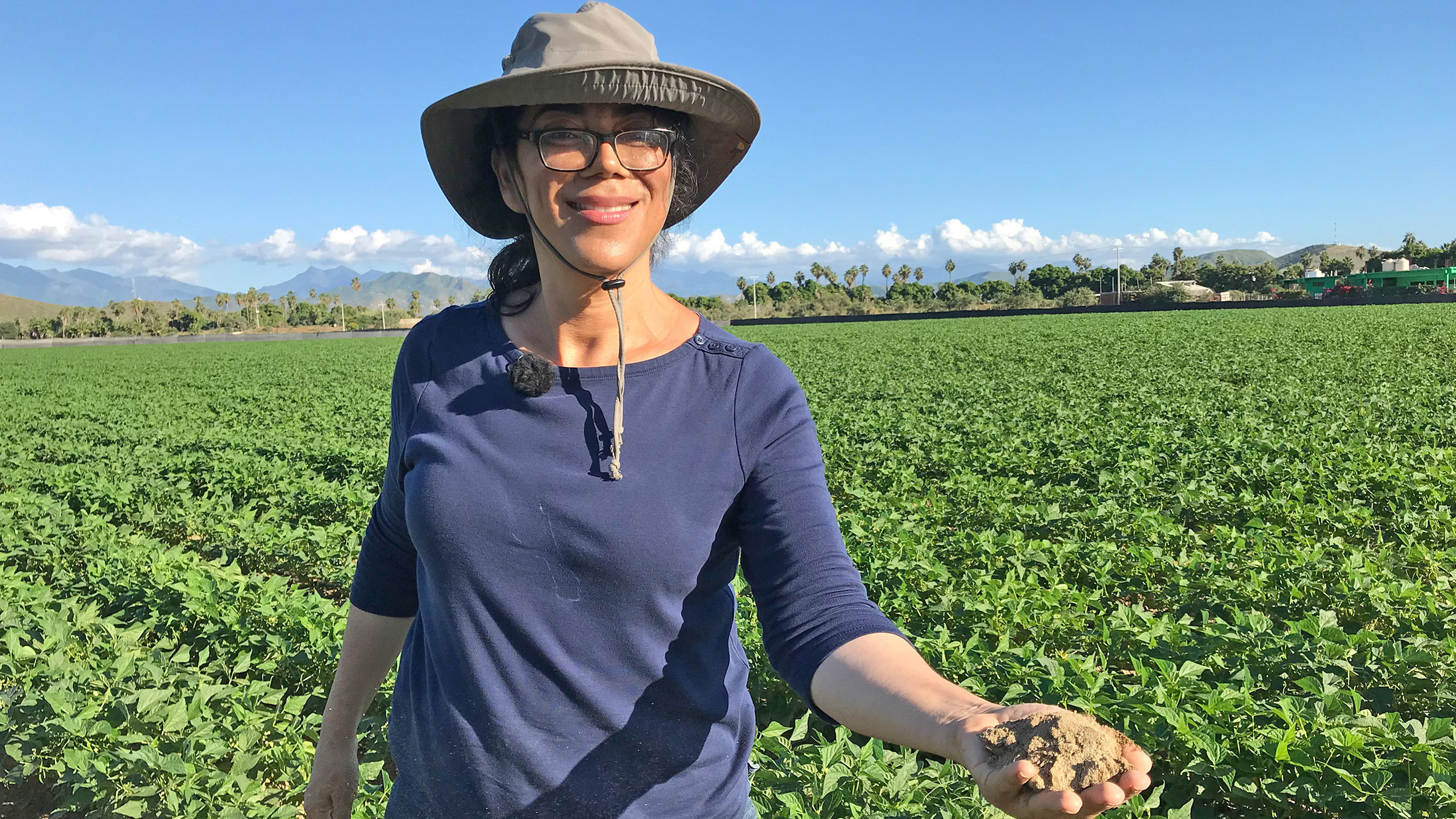 "Unbekanntes Mexiko (1/3) - Der Norden, zwischen Wüste und Pazifik": Elisabeth Ibarra leitet eine landwirtschaftliche Kooperative in Todos Santos.