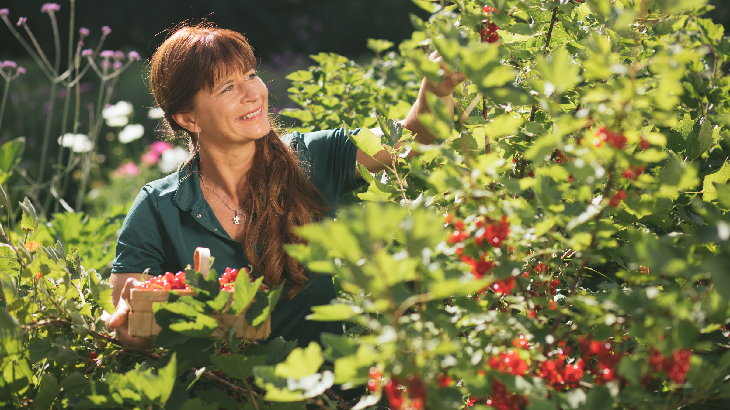 "Querbeet": Moderatorin Sabrina Nitsche bei der Johannisbeerernte.