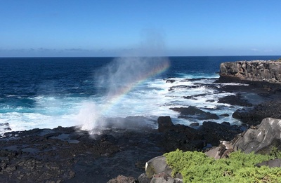 Galapagos (1/2)