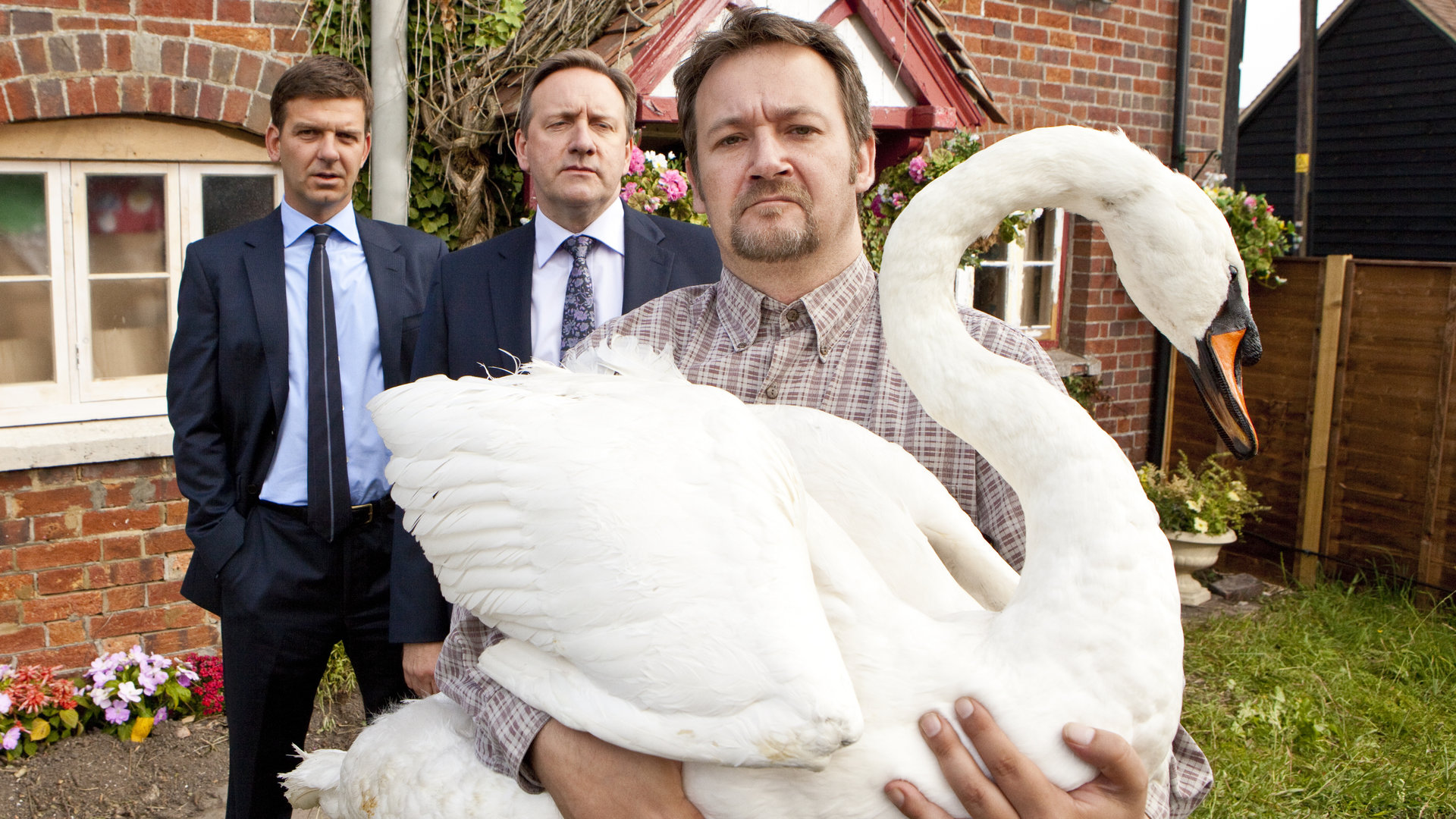 "Inspector Barnaby - Die Vögel": DS Ben Jones (Jason Hughes) und DCI John Barnaby (Neil Dudgeon) beobachten Ralph Ford (James Dreyfus), der vor ihnen steht und einen Schwan trägt.