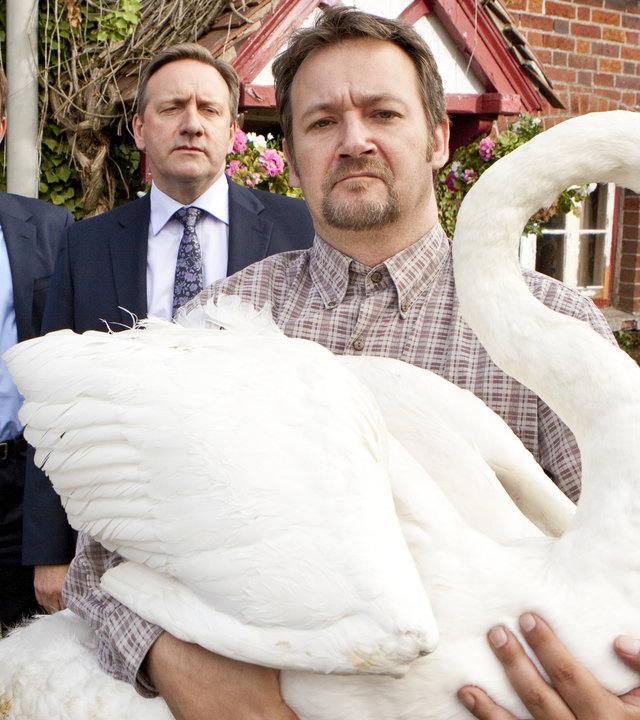 "Inspector Barnaby - Die Vögel": DS Ben Jones (Jason Hughes) und DCI John Barnaby (Neil Dudgeon) beobachten Ralph Ford (James Dreyfus), der vor ihnen steht und einen Schwan trägt.