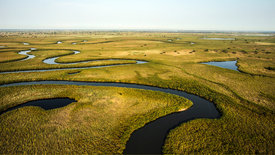 Naturwunder Okawango (1/3)