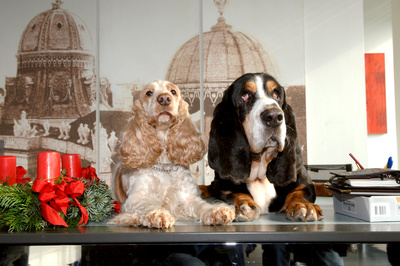 Zwei Weihnachtshunde