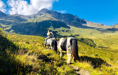 Vom Zauber der Berge - Kärntens faszinierende Alpenwelt