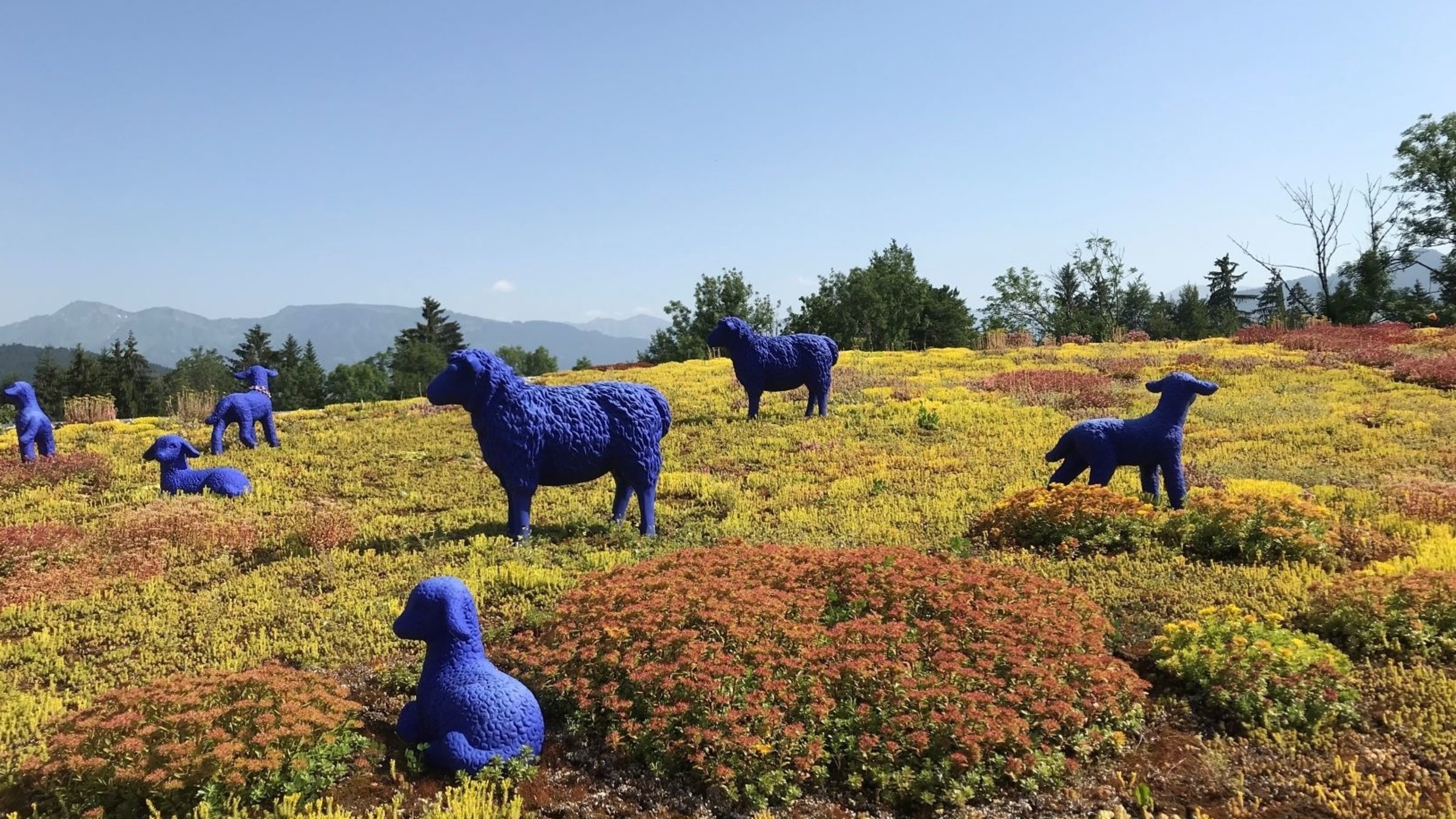 "Mein kleines Paradies - Gärten in Vorarlberg": Blaue Schafskulpturen stehen auf einer Wiese.