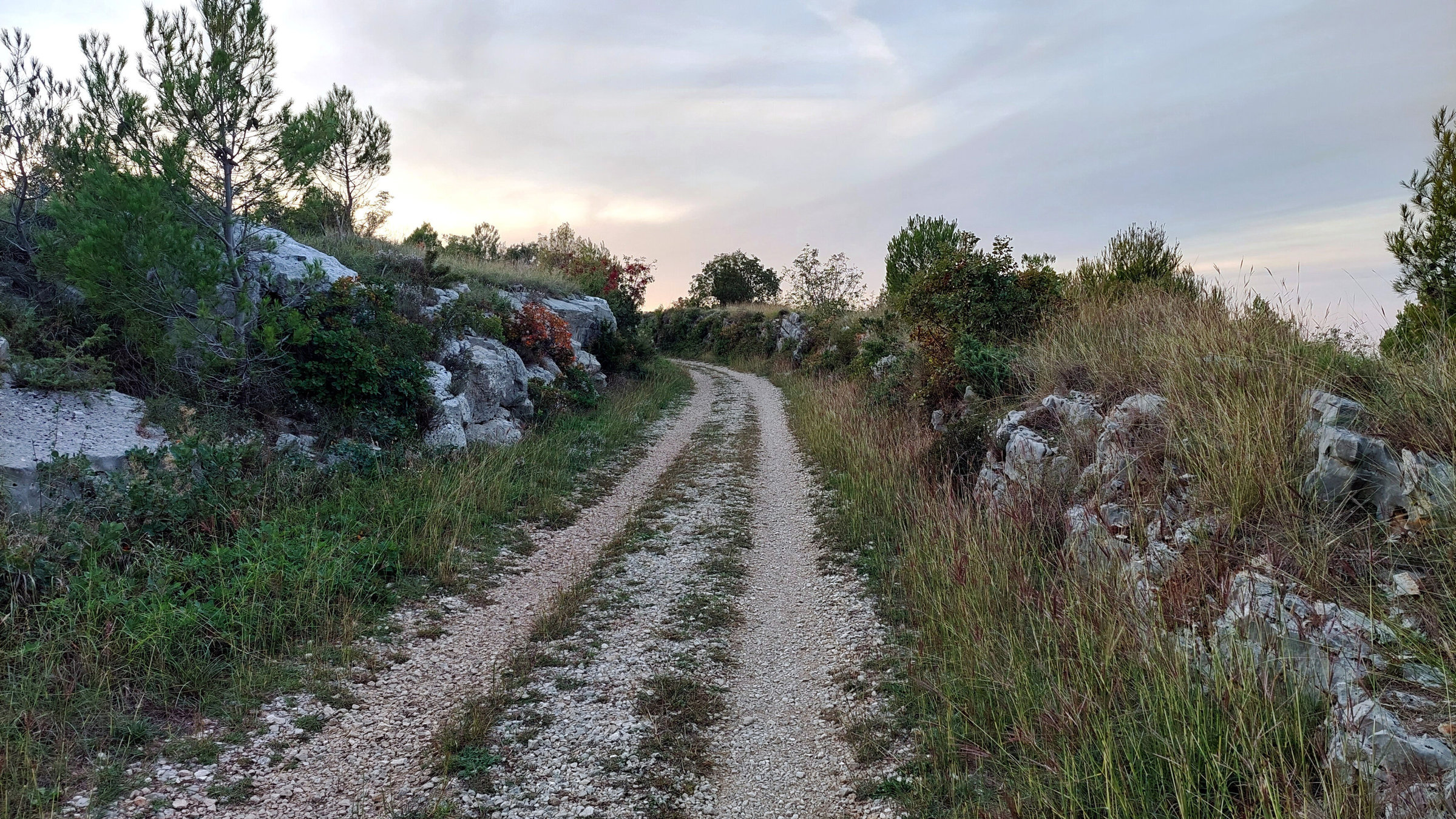 "Parenzana - Ein Weg durch drei Länder": Radweg Parenzana.