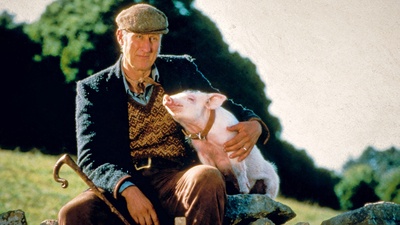 Fabelhafte Artgenossen - Das Schwein