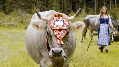 Almgeschichten aus der Steiermark