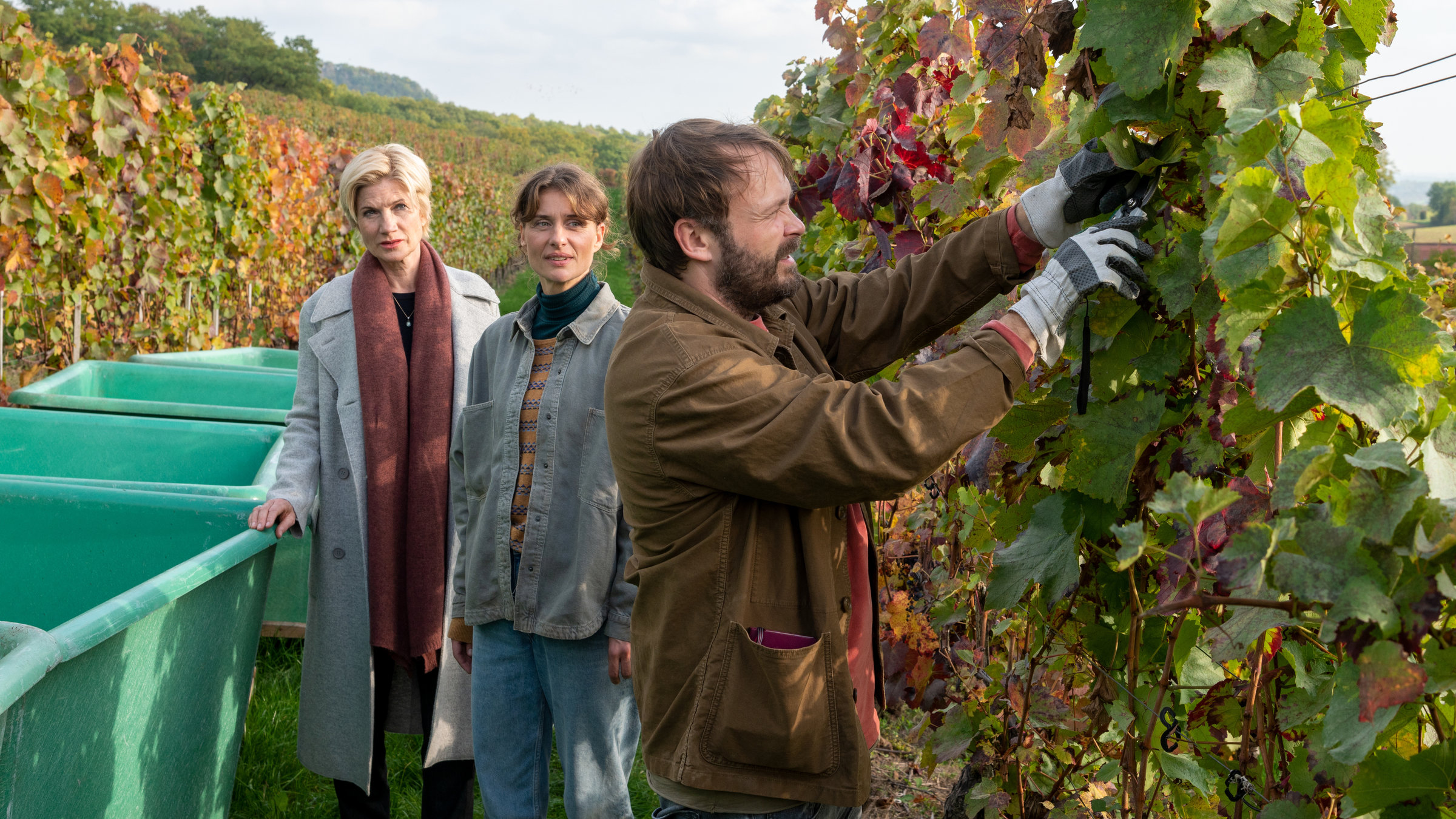 "SOKO Stuttgart - Nur 5 Stunden": Kriminalkommissarin Martina Seiffert (Astrid M. Fünderich) steht zwischen herbstlichen Weinreben in einem Weinberg. Sie trägt einen Mantel und einen Schal und hält sich mit der rechten Hand an einem grünen Winzercontainer fest. Neben ihr steht Marie Holler (Marie Rönnebeck). Sie trägt eine helle Jeansjacke und eine Jeanshose. Beide Frauen schauen zu Henry Engler (Matthias Ziesing), der an einer Weinrebe arbeitet. Er trägt eine braune Jacke und Arbeitshandschuhe, während er konzentriert seiner Arbeit nachgeht.