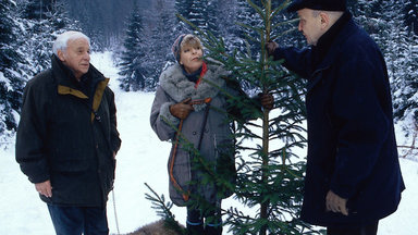 Forsthaus Falkenau - Advent, Advent