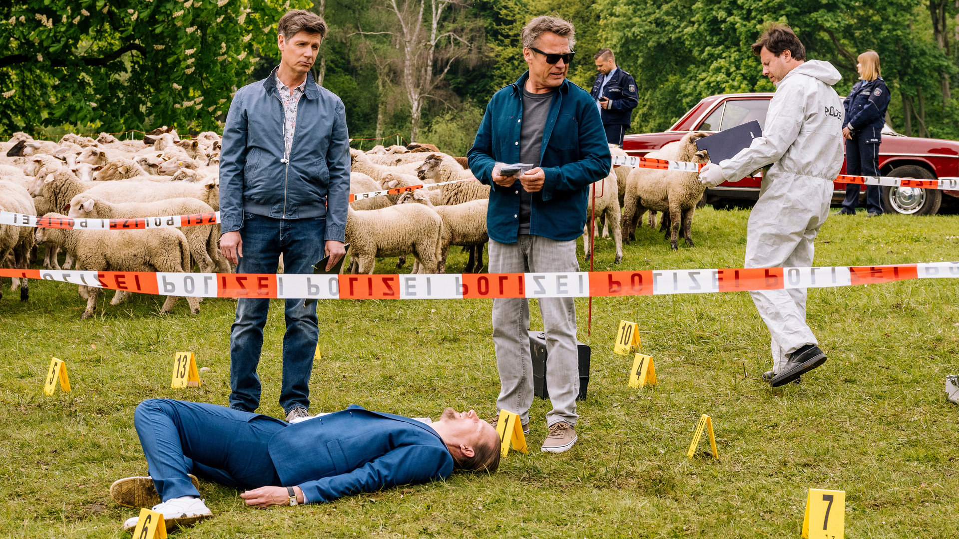 "SOKO Köln - Unter Schafen": Dr. Kraft (Thomas Clemens) steht links neben Matti Wagner (Pierre Besson) an einem Tatort auf einer Weide. Vor ihnen hinter einem rot-weißen Absperrband liegt der ermordete Patrick Sieger (Peter Eberst) auf dem Rücken und mit angewinkelten Beinen. Er trägt einen blauen Anzug. Rechts neben Matti Wagner steht ein Kollege der Spurensicherung, im Hintergrund sieht man zwei uniformierte Polizisten neben einem weinroten Oldtimer stehen. Außerdem befindet sich hinter Dr. Kraft eine Schafsherde auf der Wiese. Um die Leiche herum wurden einige gelbe Plastikkarten aufgestellt.