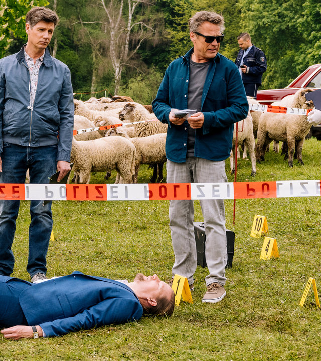 "SOKO Köln - Unter Schafen": Dr. Kraft (Thomas Clemens) steht links neben Matti Wagner (Pierre Besson) an einem Tatort auf einer Weide. Vor ihnen hinter einem rot-weißen Absperrband liegt der ermordete Patrick Sieger (Peter Eberst) auf dem Rücken und mit angewinkelten Beinen. Er trägt einen blauen Anzug. Rechts neben Matti Wagner steht ein Kollege der Spurensicherung, im Hintergrund sieht man zwei uniformierte Polizisten neben einem weinroten Oldtimer stehen. Außerdem befindet sich hinter Dr. Kraft eine Schafsherde auf der Wiese. Um die Leiche herum wurden einige gelbe Plastikkarten aufgestellt.
