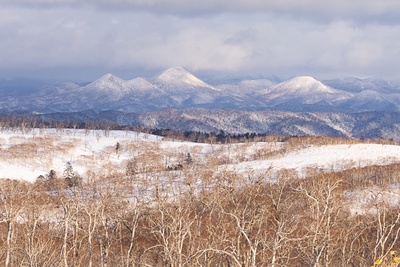 Traumorte - Hokkaido