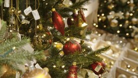 Alle Jahre wieder: Lichterglanz und Sternenstaub