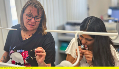 Die Nordreportage: Das schnelle Geld