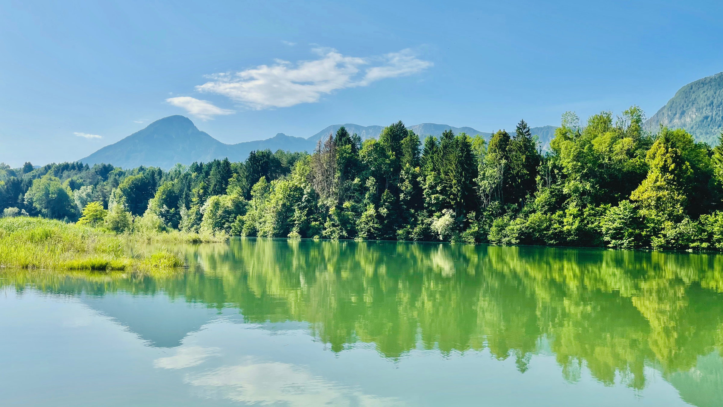 "Die Drau entlang - Kärntens grüne Lebensader": Flachwasserzone bei Selkach an der Drau