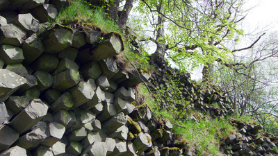 Bayerische Naturgeschichten