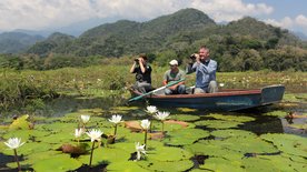 Wildes Zentralamerika: Im Dschungel von Honduras