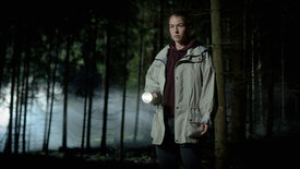 Schweigend steht der Wald