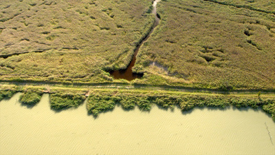 Österreichs Welterbe - Wasser, Grenzen und die Römer