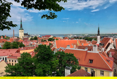 Tallinn, da will ich hin!