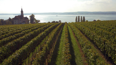 Bodensee - Wildnis am großen Wasser