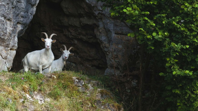 Versteckte Paradiese - Im Tal der Schwarzen Laber
