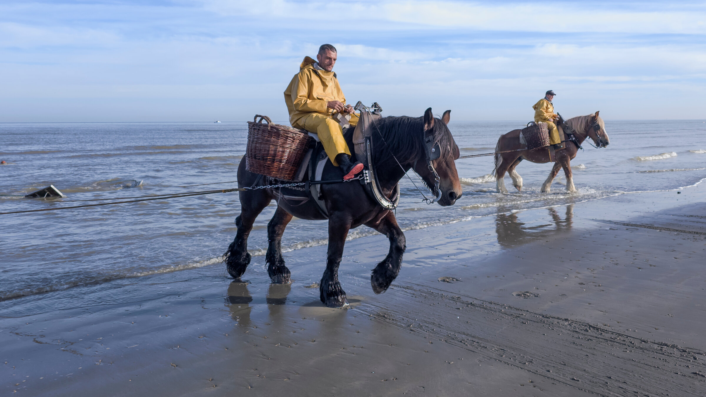 "Leben an der Nordsee (3/6) - Belgien und die Niederlande": Am Strand von Ostdünkirchen an der belgischen Küste wird noch ein uraltes Handwerkbetrieben: das Fischen zu Pferd. Heute ist es Unesco-Weltkulturerbe.