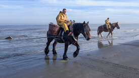 Leben an der Nordsee (3/6)