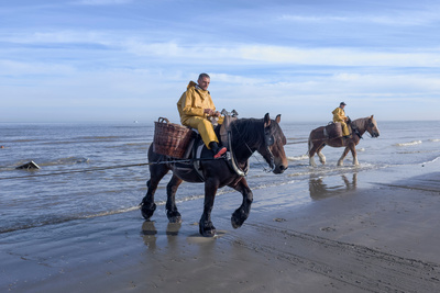 Leben an der Nordsee: Belgien und die Niederlande