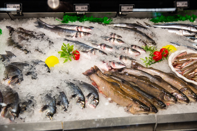 makro: Welcher Fisch darf auf den Tisch?