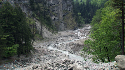 Nichts als Natur