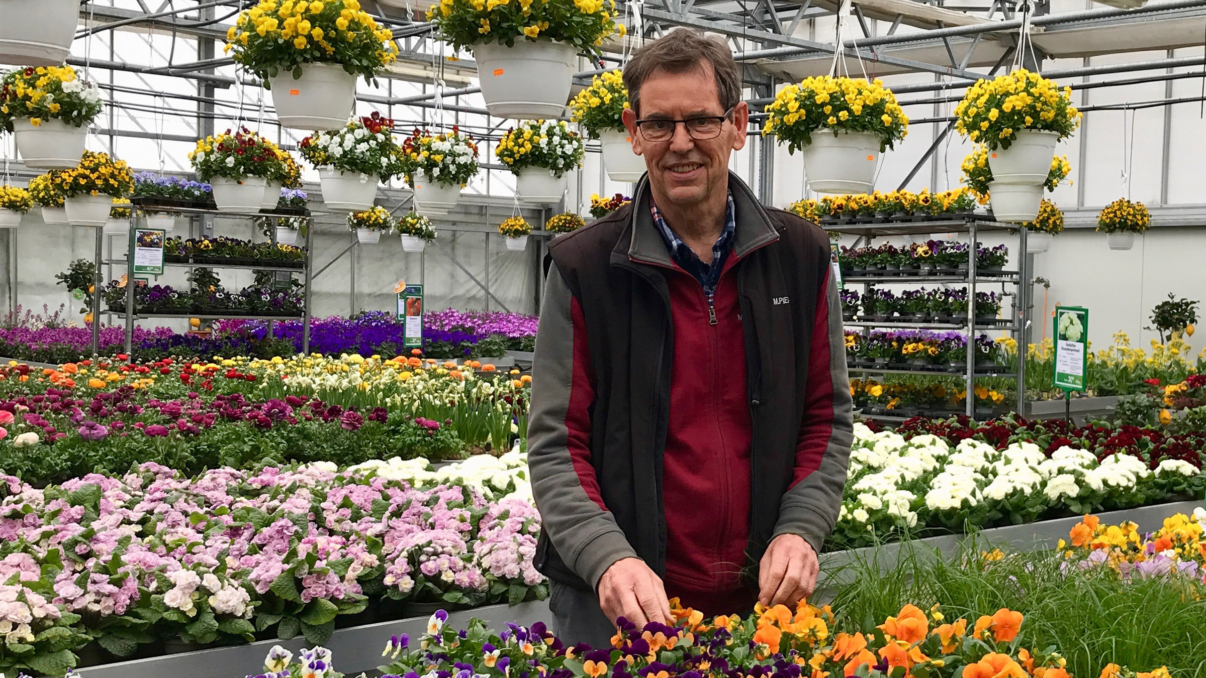 "Die Nordreportage: Großstadtfrühling": Manfred Piepereit an seinem farbenfrohen Arbeitsplatz.