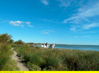 Camargue, da will ich hin!