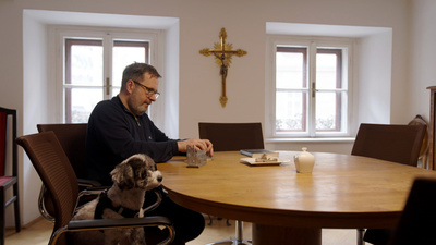 St. Stephan und die Tiere