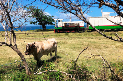 Mit dem Zug auf St. Kitts