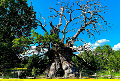 50 Gründe, Südschweden zu lieben