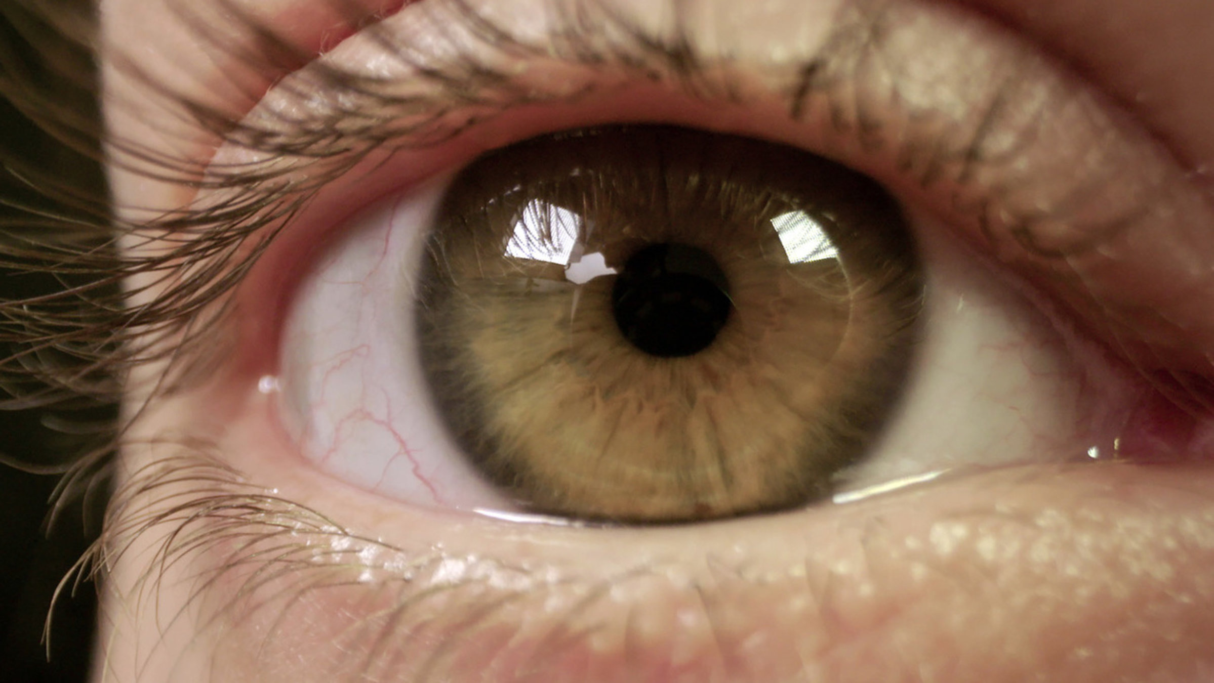 "Gesunde Augen – klarer Blick": Nahaufnahme eines menschlichen geöffneten
Auges