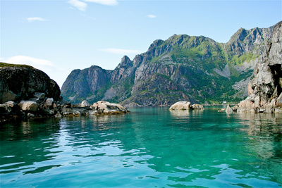 Der Flug des Seeadlers