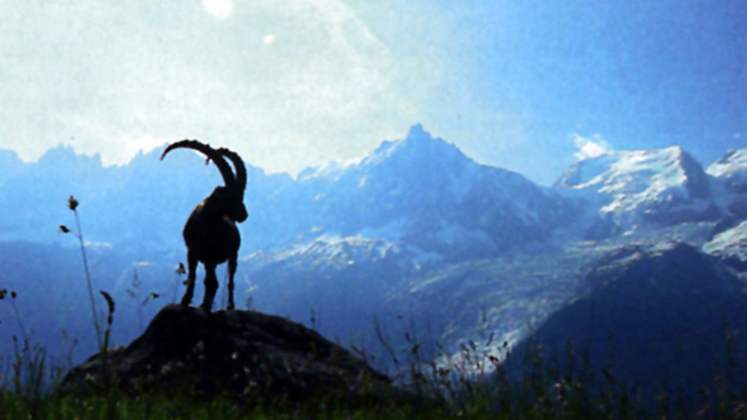 "Frankreich, Wild und schön" - Bergpanorama