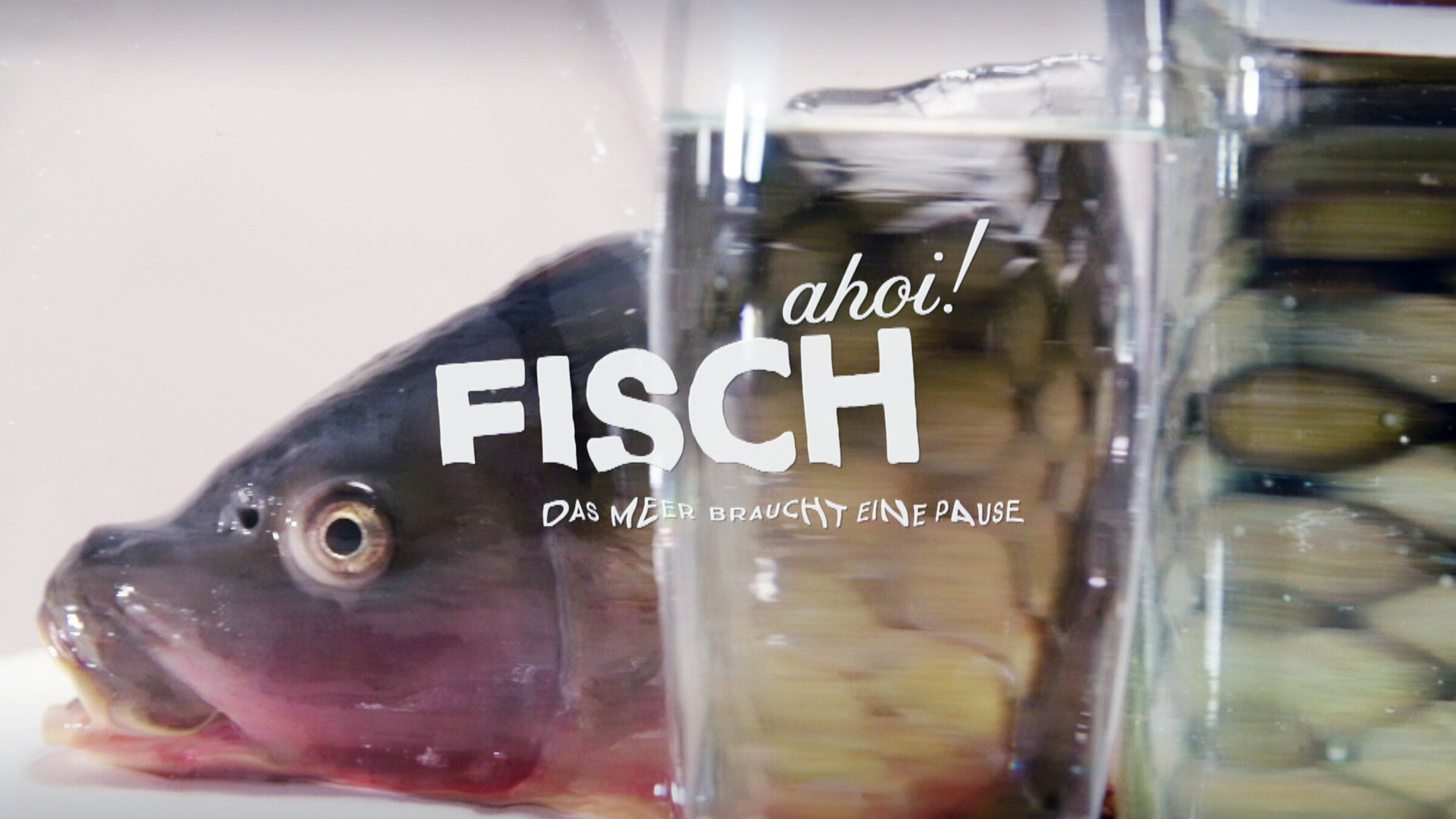 "Fisch ahoi! Das Meer braucht eine Pause (1 bis 6)": Signation, Logo.