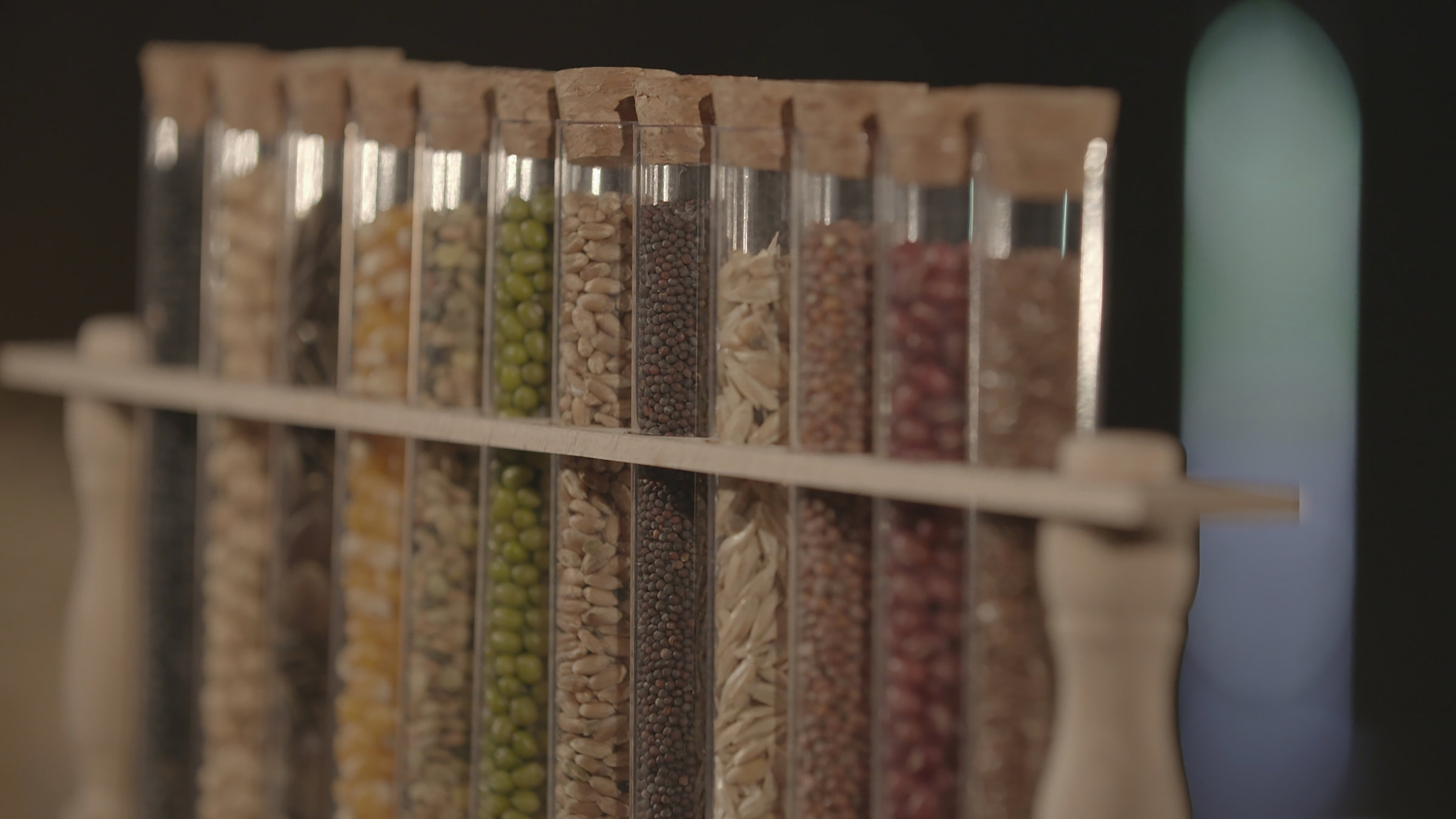 "Das Saatgut-Kartell": Reagenzgläser mit verschiedenen Samensorten.