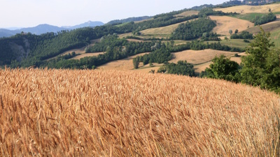 Emilia-Romagna - Italiens Genussregion