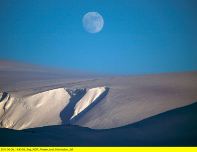 Wildes Skandinavien: Island