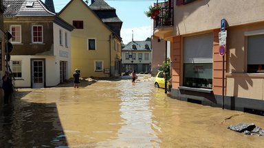 Terra Xpress - Wasser Im Haus Und Blaubeeren Weg