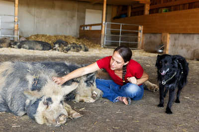 Eine Zuflucht für Tiere - Gut Aiderbichl