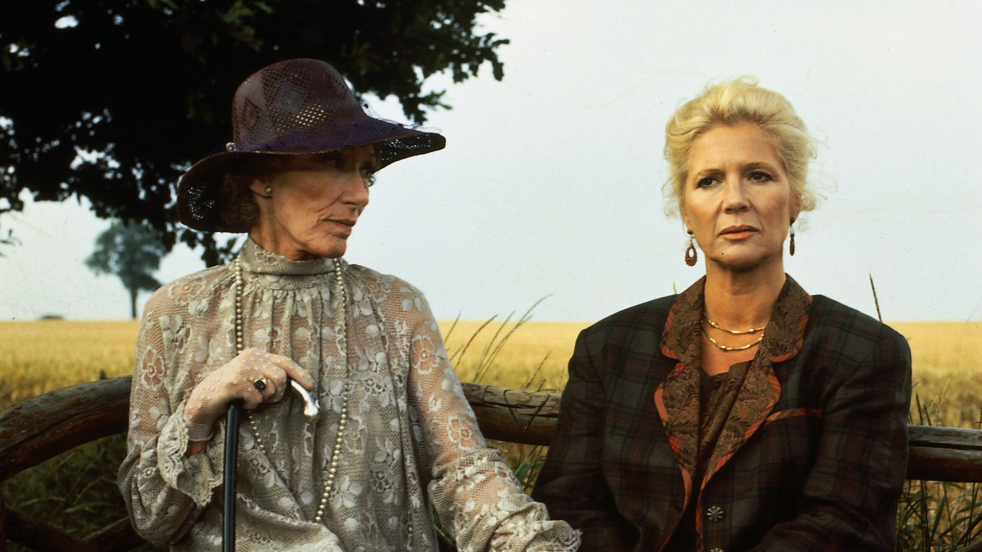 "Das Erbe der Guldenburgs - Der kleine Bruder": Christine (Christiane Hörbiger) und ihre Schwiegermutter Herta (Brigitte Horney) sitzen auf einer Holzbank vor einem Getreidefeld.