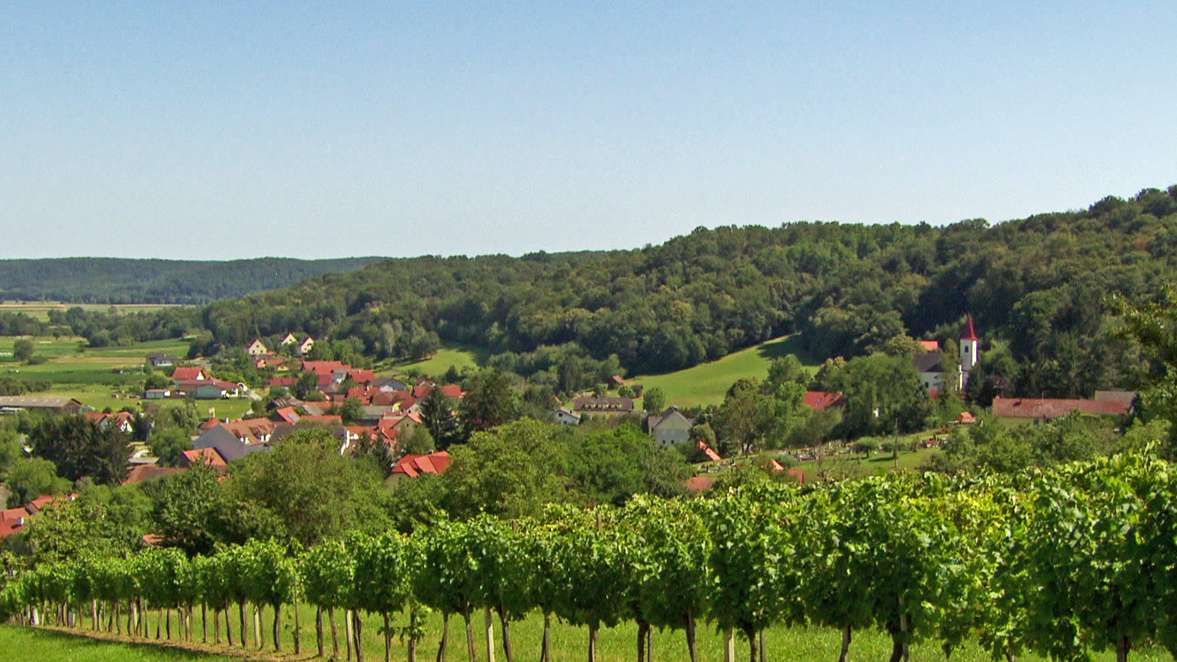"Burgenland - Österreichs schönster Hinterhof": Weinanbau im Burgenland.