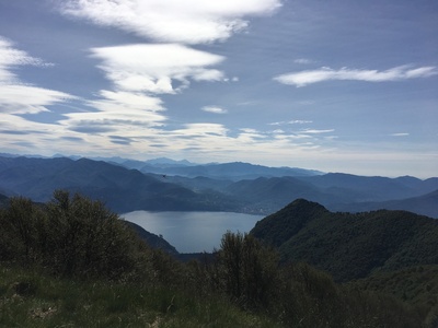 Wildnis am Lago Maggiore